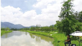 從昔日洼地到今日景區 村企抱團，繪就旅游開發新畫卷